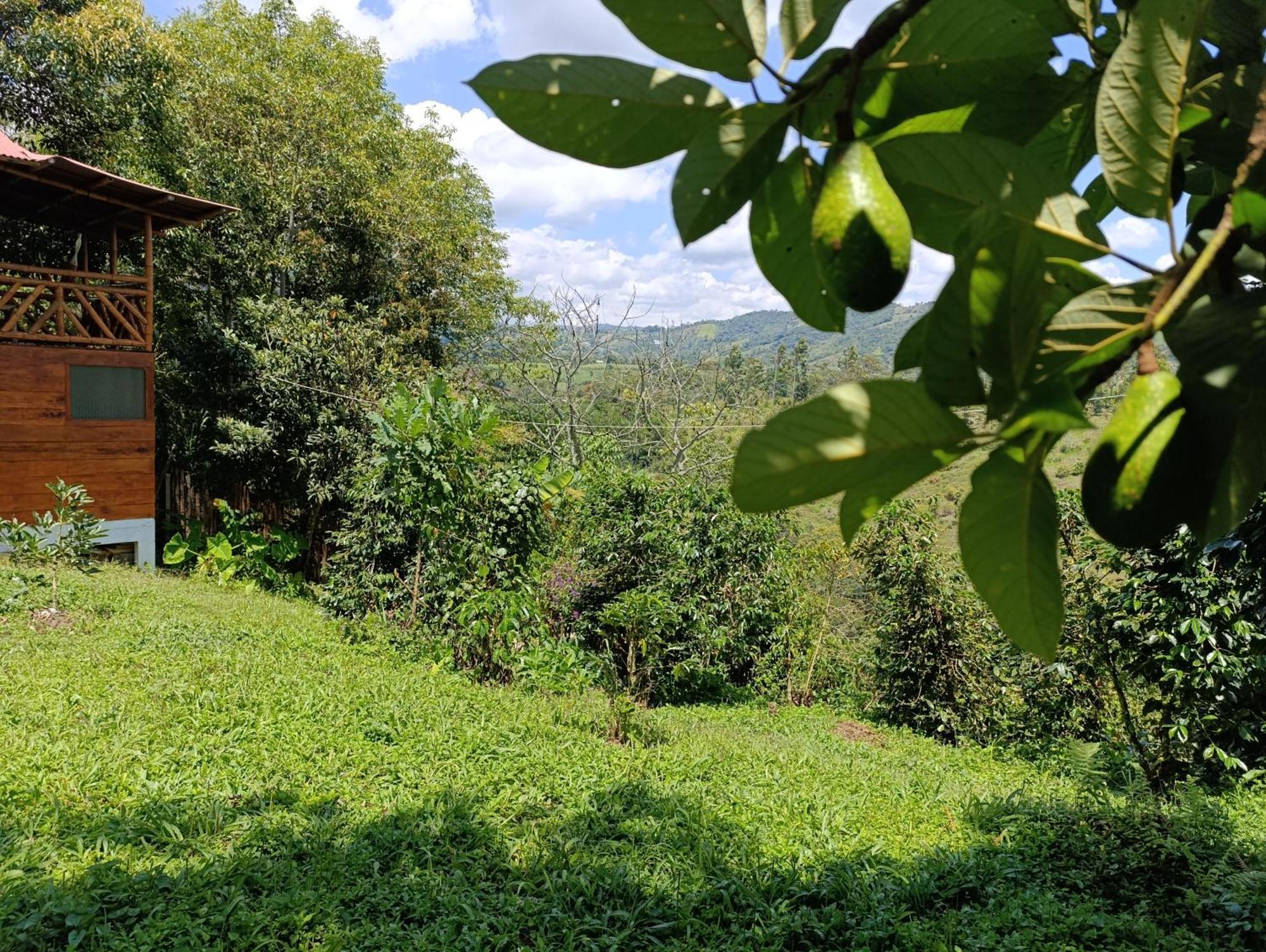 Casa Entera Finca Cometa San Agustín Exterior foto